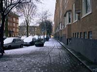 My street, Mondaymorning, 08-02-1999